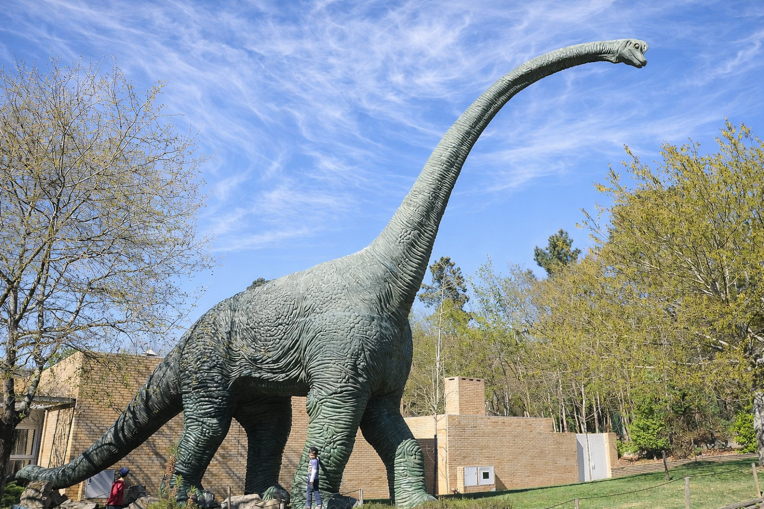 Große Dinosauriernachbildung im Parque Biológico de Gaia mit langem Hals und ausladendem Körper auf einer Wiesenfläche, umgeben von Bäumen und Parkgebäuden, im hellen Sonnenlicht unter einem Himmel mit feinen, schleierartigen Zirruswolken