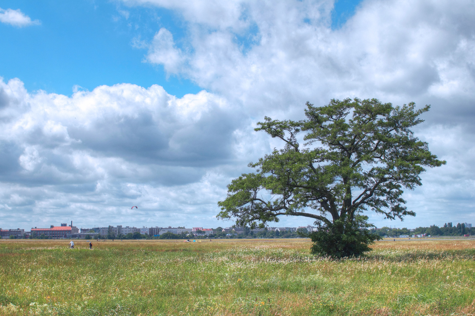 Der Tempelhofer Feld