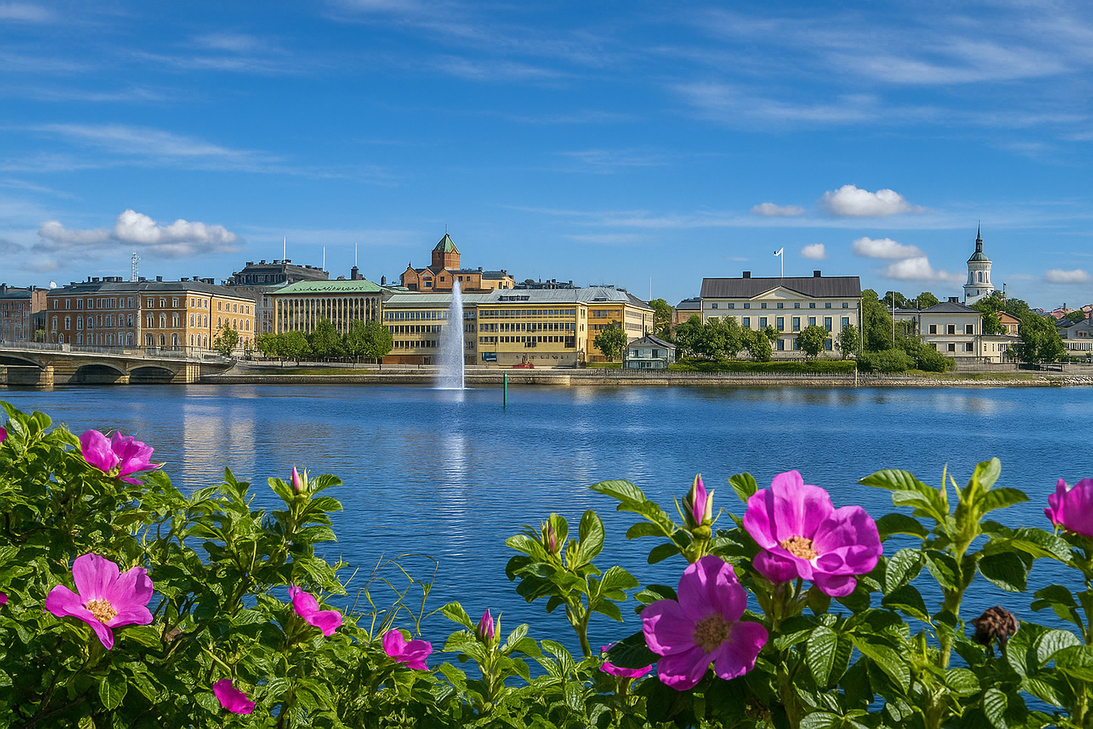 Panorama der Bucht in Härnösand mit Blick auf die historischen Gebäude der Stadt, Wasserfontäne und blühenden Rosen im Vordergrund unter blauem Himmel mit weißen Wolken.